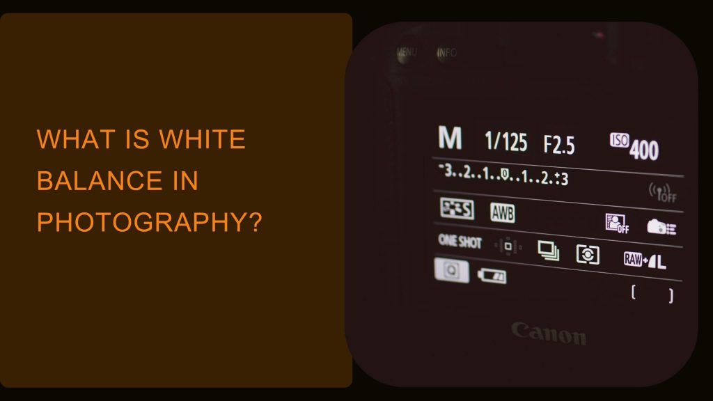 Basics for Beginners: What is White Balance in Photography?